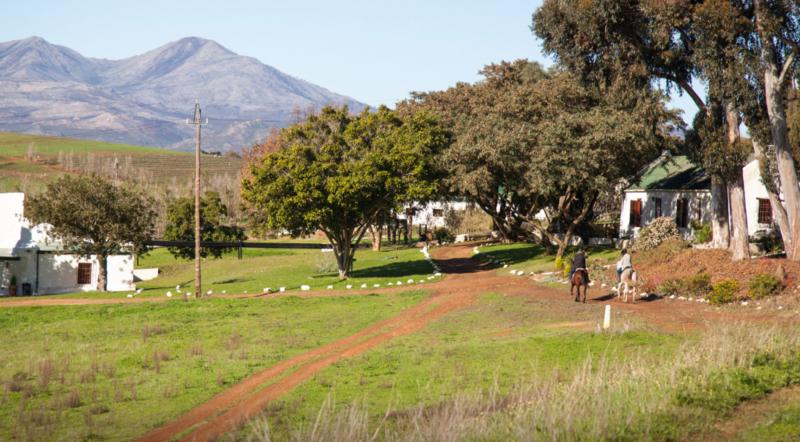 0 Bedroom Property for Sale in Bot River Western Cape